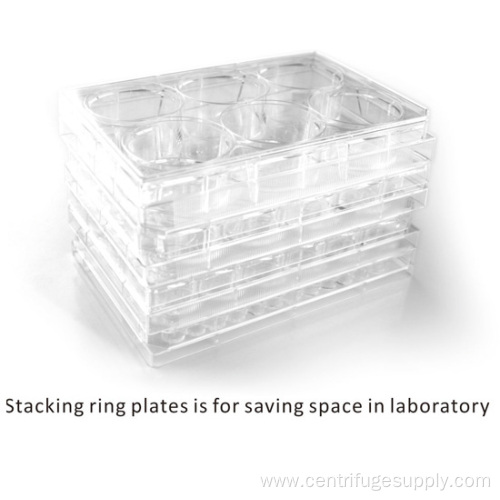 Polystyrene Cell Culture Plates Sterile